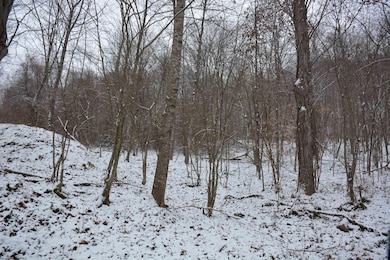 To Be Determine Sand Fork Rd, Roanoke, WV 26447 - photo 6