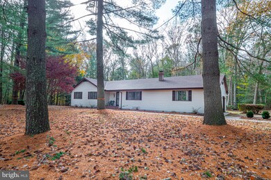 22546 Deep Branch Rd, Georgetown, DE 19947 - photo 2