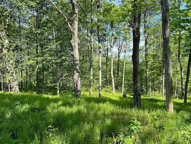 0 Crumb Cemetary Rd unit 22454652, Cairnbrook, PA 15924 - photo 3