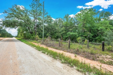 90 Acres Union Hill Rd, Vernon, FL 32462 - photo 3