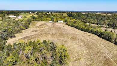 4994 Parks Ridge Rd, Vevay, IN 47043 - photo 5