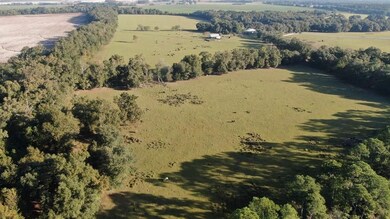 6514 Newton Hwy, Colquitt, GA 39837 - photo 5