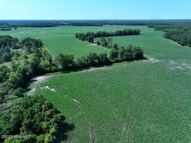 DJI_20250604162922_0545_D