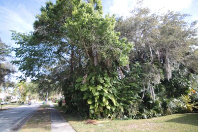 2020-03-10 - Savanahs - 018