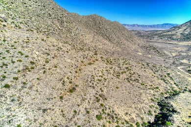 TBD S Limestone Rd unit 13W & 013V, Portal, AZ 85632 - photo 2