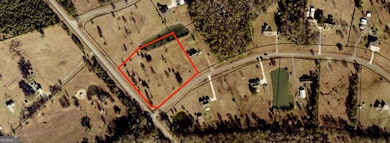 LOT 41 Thoroughbred Rd, Woodbine, GA 31569 - photo 4