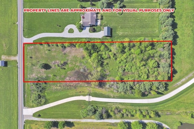 3-web-or-mls-DJI_0226 - Copy (2)