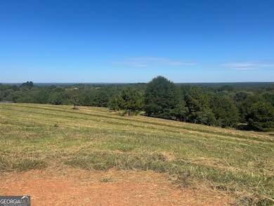 0 New Mexico Rd unit TRACT 1 (7.47 ACRES), Bowdon, GA 30108 - photo 2