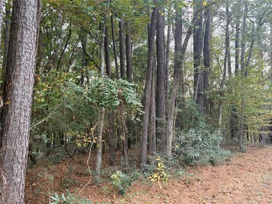 TBD Magnolia Duke Dr, Livingston, TX 77351 - photo 5