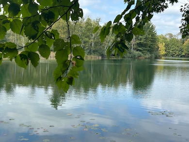 8601 N Island Dr unit 41, Canadian Lakes, MI 49346 - photo 3