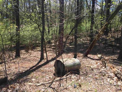 52 Baldwin St, Nashua, NH 03064 - photo 4