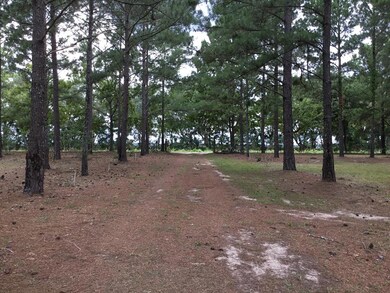 109 Railroad Rd, Colquitt, GA 39837 - photo 5