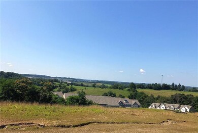 view from kitchen