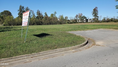 TRACT 3B Headtown Rd, Jonesborough, TN 37659 - photo 5