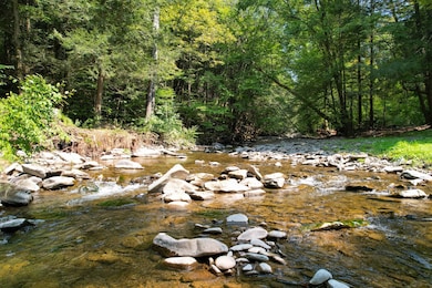 3774 Methol Rd, East Branch, NY 13756 - photo 7