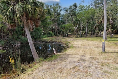 1710 1st St, Steinhatchee, FL 32359 - photo 7