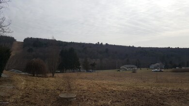 240 Harvest Hill Dr, Effort, PA 18330 - photo 4