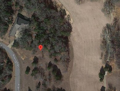 248 Roaring Fork Cir, Gordonville, TX 76245 - photo 3