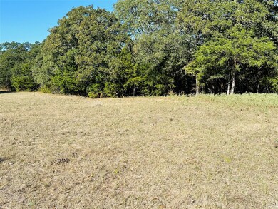 1683 County Road 3563, Dike, TX 75437 - photo 7