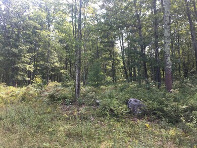 125 Springwood Dr, Hawley, PA 18428 - photo 6