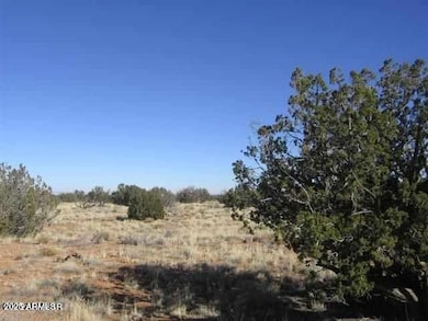 Sec 31 T15n R16e:nw4 Se4 -- unit 28, Heber, AZ 85928 - photo 2