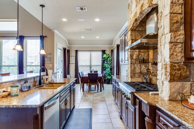 25906 Natal Plum, San Antonio, TX 78261 - photo 5