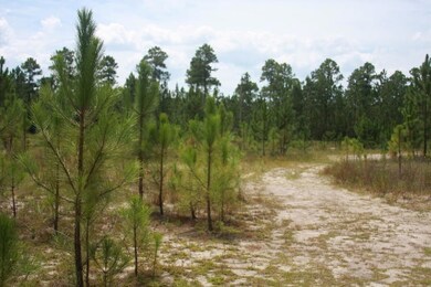 LOT13C Ph3 Gulf Pines Ct