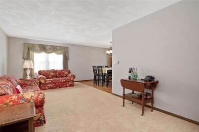 31 Lakeview Dr, Freeburg, IL 62243 - photo 5