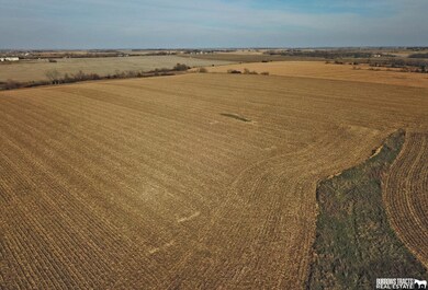 32.73 Acres, Firth Rd, Firth, NE 68358 - photo 4
