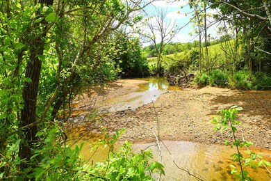 3200 Cedar Flat Curtis Rd, Edmonton, KY 42129 - photo 3