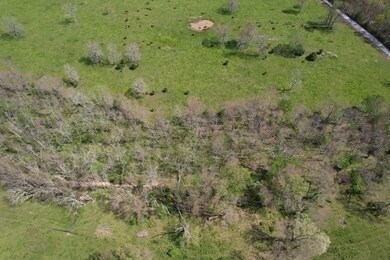 dji_fly_20230508_104326_270_168356101776