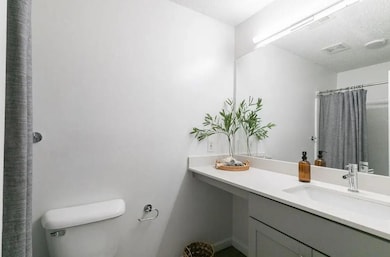 Bathroom with vanity, a textured ceiling, and toil