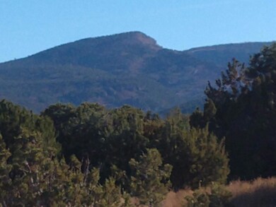 Tract A-1 Cerrito Rojo, Placitas, NM 87043 - photo 5