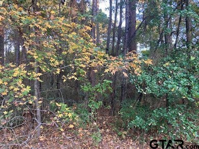 1657 Pineview Ln, Hideaway, TX 75771 - photo 6