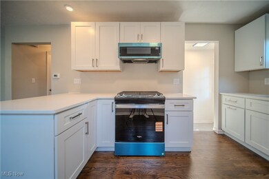 382 Larkin Ave, Akron, OH 44305 - photo 7