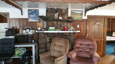 14306 N Gordon Ave, Bitely, MI 49309 - photo 7