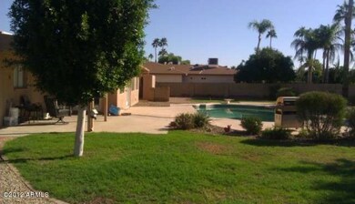 Back yard 1