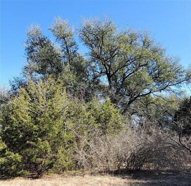 L7BA Floyd Ct, Weatherford, TX 76087 - photo 2