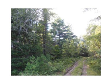 Land/Lot.