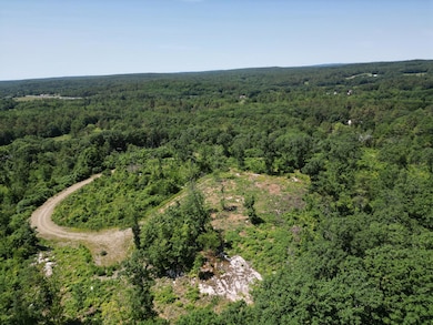 dji_fly_20250611_024428_755_175104029453