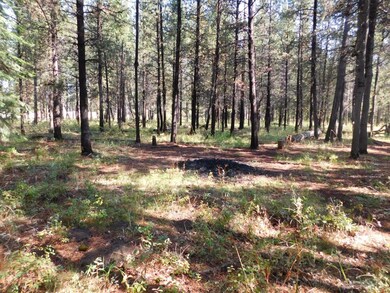 16951 Fontana, Bend, OR 97707 - photo 6