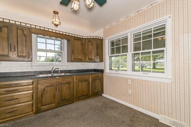 2968 N County Line Rd, Geneva, OH 44041 - photo 4