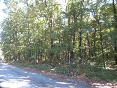 Township road access in front.