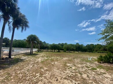 000 River's Bend Crossing NE, Steinhatchee, FL 32359 - photo 3