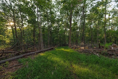 000 Stuarts Draft Hwy, Stuarts Draft, VA 24477 - photo 3