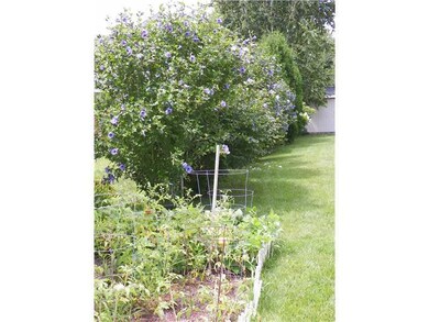 Yard/Garden.