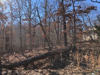 0 York (Leeds Ln) Dr unit 1100620, Bella Vista, AR 72714 - photo 5