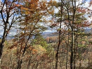 Lot 5 Osprey Mountain Way unit 5, Webster, NC 28779 - photo 7