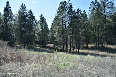 NNA S Farup Rd, Worley, ID 83876 - photo 2