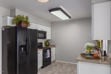 13606 N Silverbell Dr unit 10, Sun City, AZ 85351 - photo 3